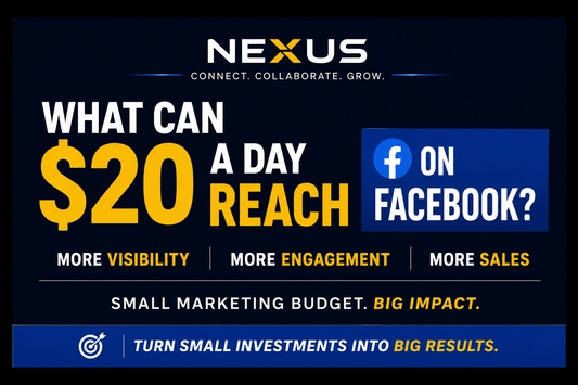 What Can a $20 a Day Marketing Budget Reach on Facebook?